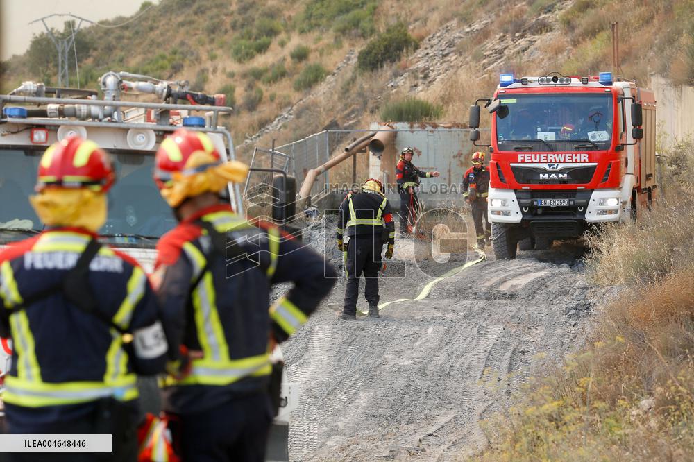 Fire in Zamora Remains Active - Spain