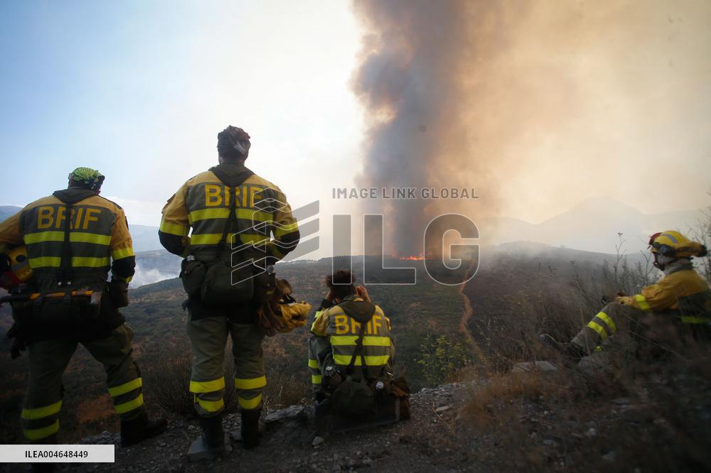 Fire in Zamora Remains Active - Spain