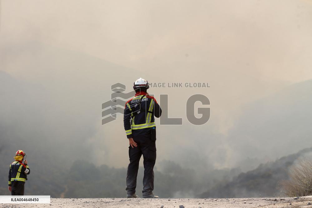 Fire in Zamora Remains Active - Spain