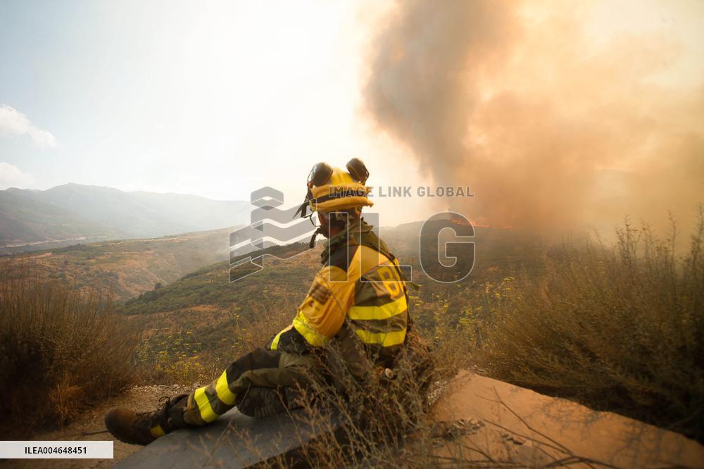 Fire in Zamora Remains Active - Spain