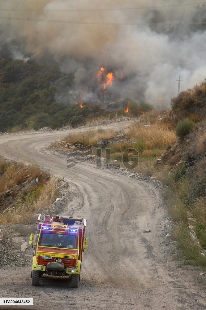 Fire in Zamora Remains Active - Spain