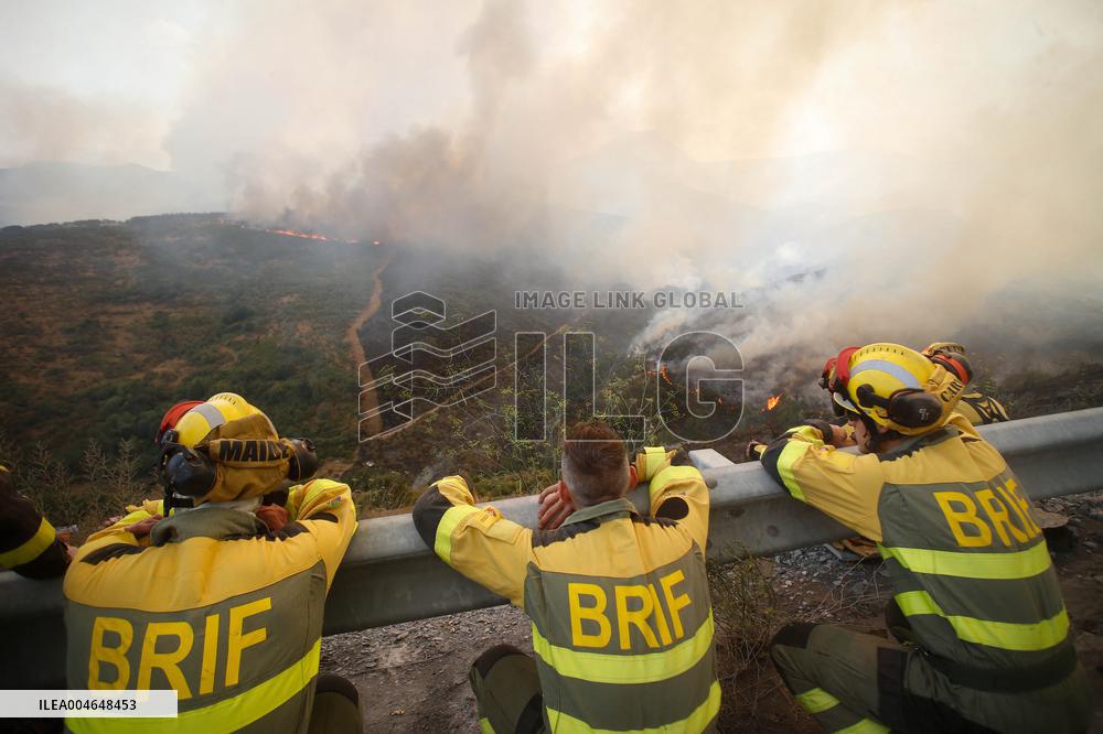 Fire in Zamora Remains Active - Spain