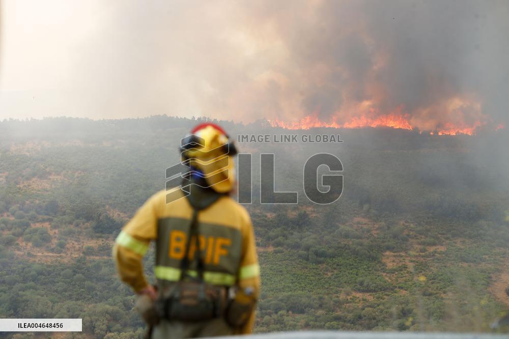 Fire in Zamora Remains Active - Spain