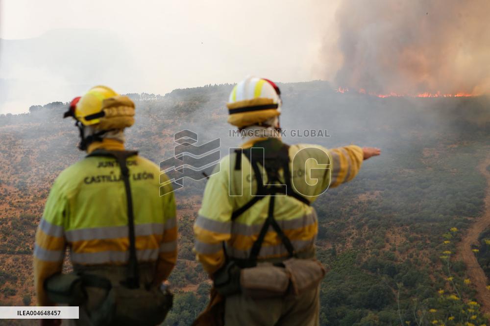 Fire in Zamora Remains Active - Spain