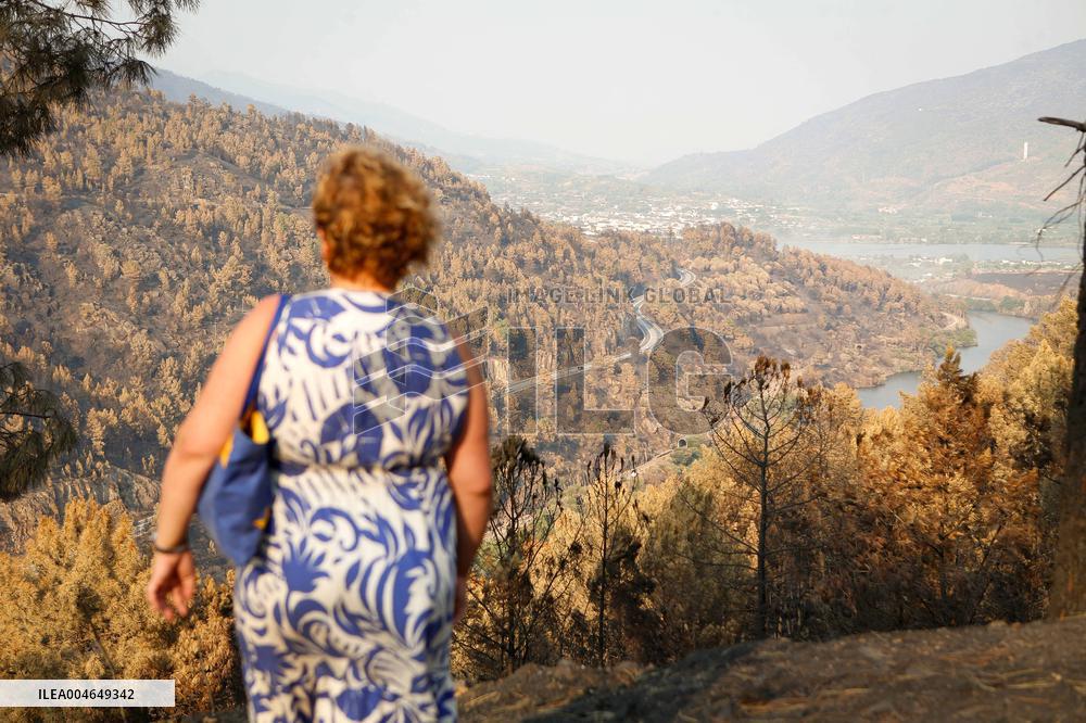 Wildfires Drive Evacuations in Leon