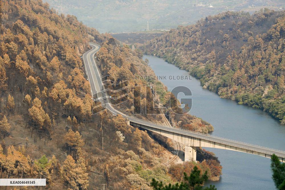 Wildfires Drive Evacuations in Leon