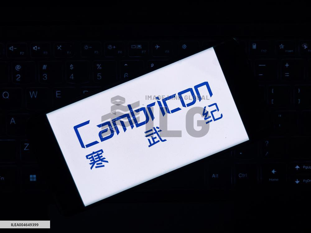 Illustration Cambricon