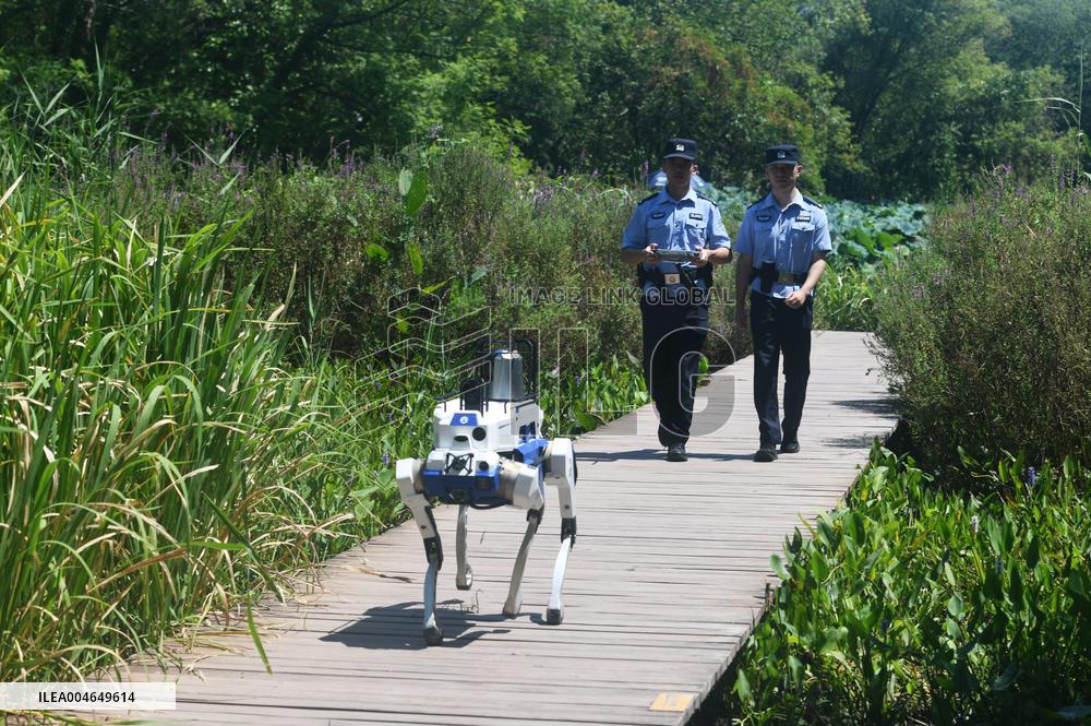 Intelligent Robot Police Dog