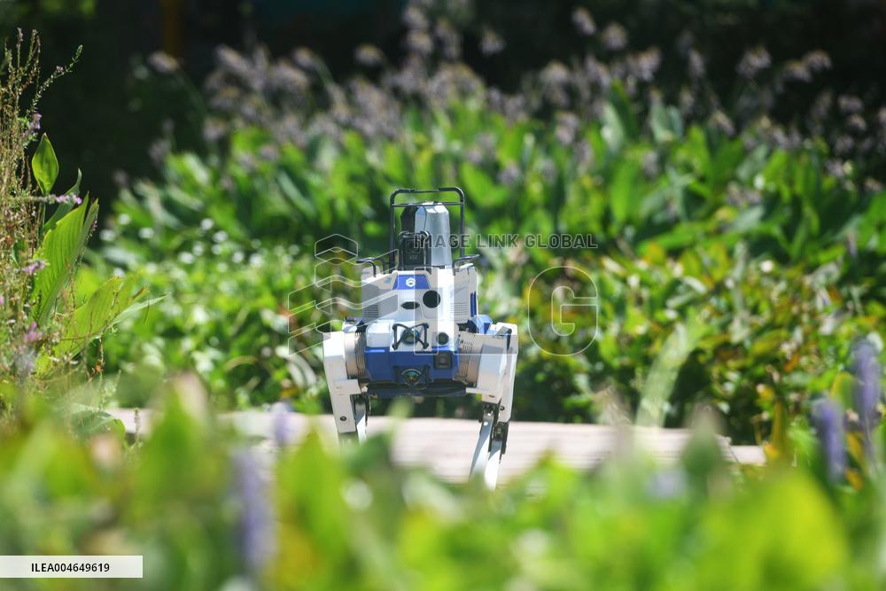 Intelligent Robot Police Dog