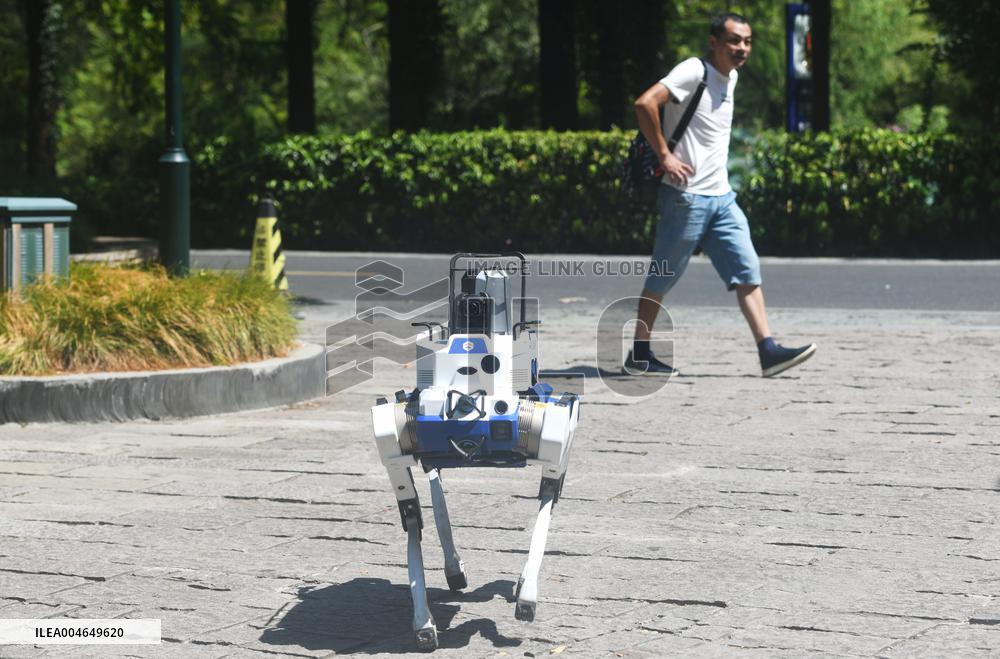 Intelligent Robot Police Dog