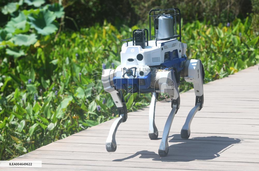 Intelligent Robot Police Dog