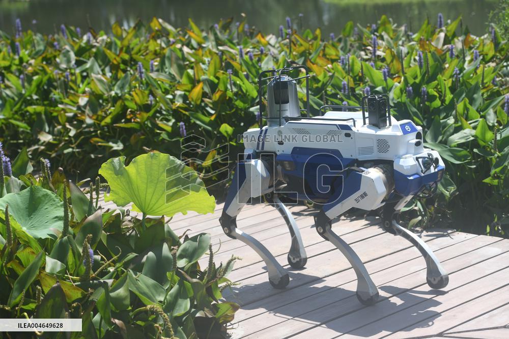 Intelligent Robot Police Dog