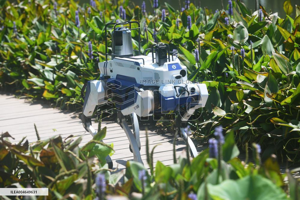 Intelligent Robot Police Dog