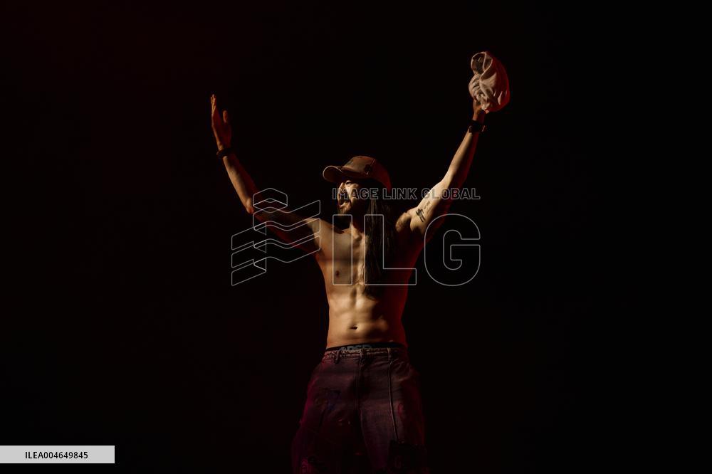 Alan Walker and Steve Aoki concert