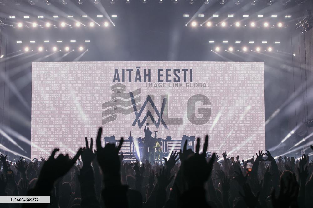 Alan Walker and Steve Aoki concert