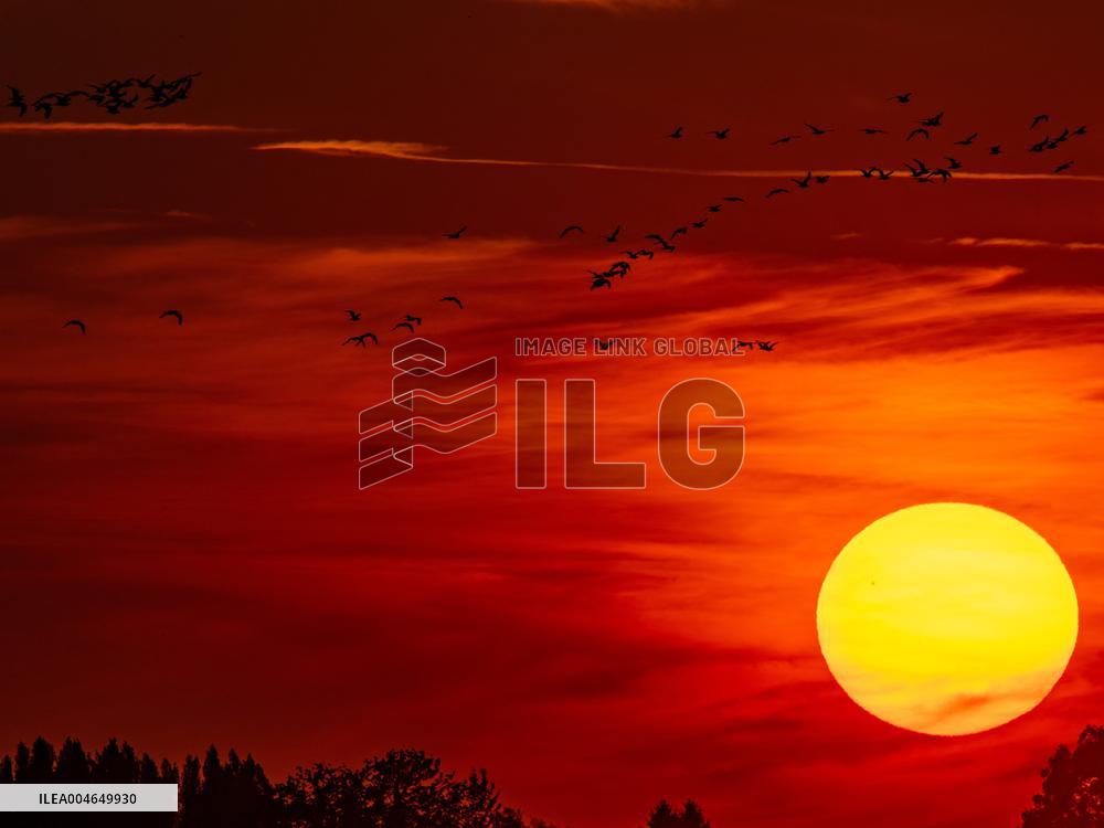 Illustration - Sunset - France