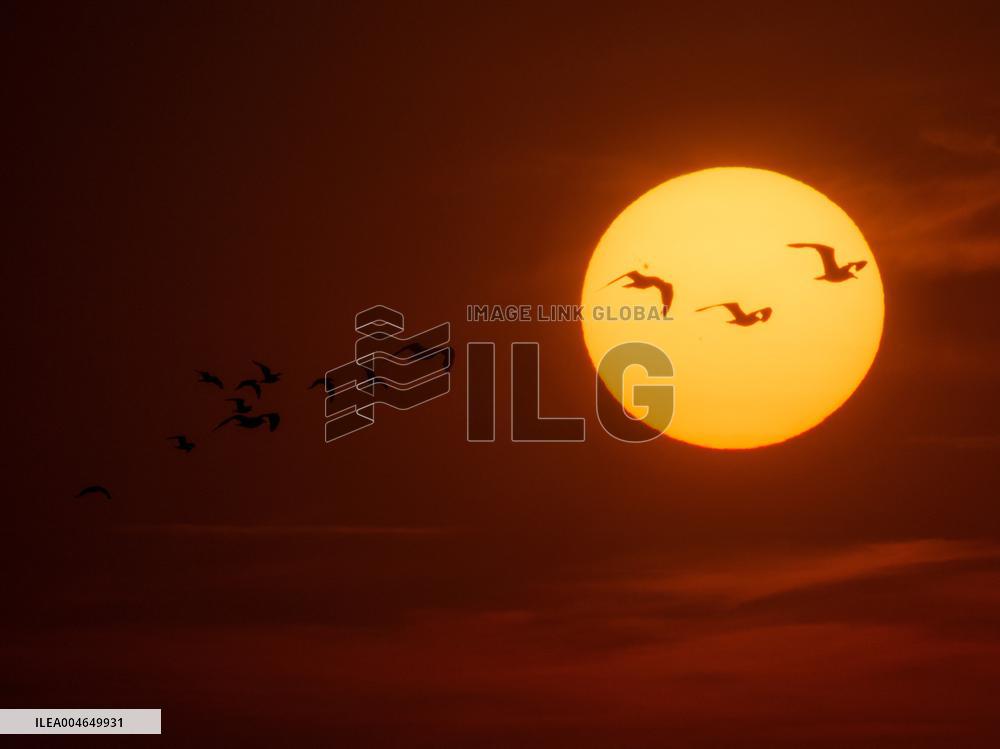 Illustration - Sunset - France