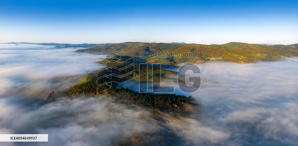 Illustration - Beaujolais