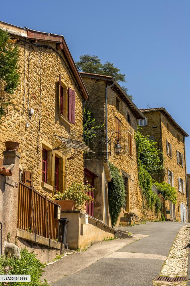 Illustration - Beaujolais