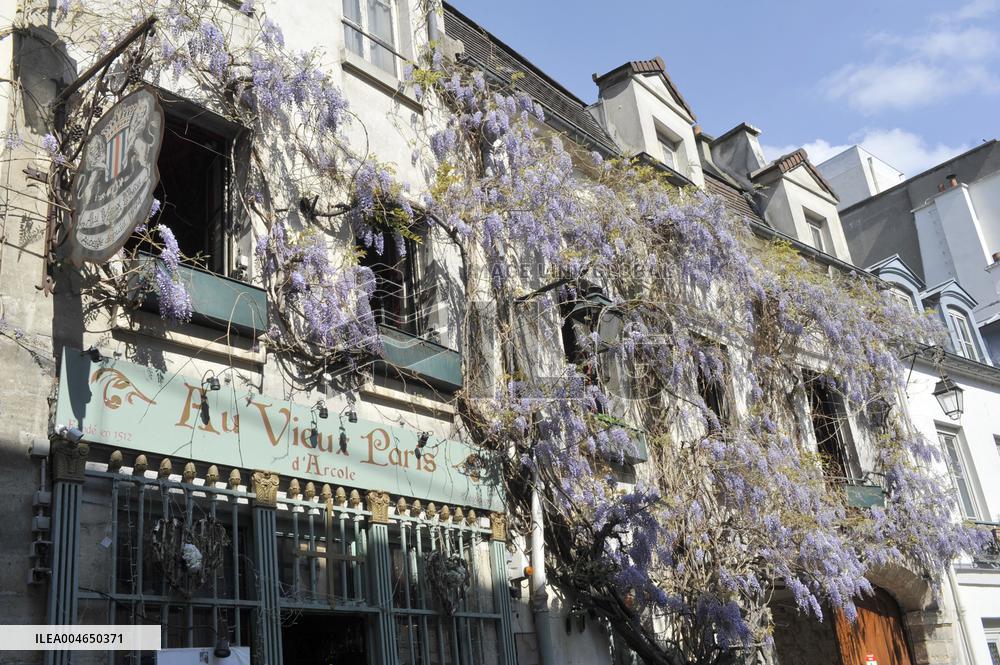 Illustration - Immobilier