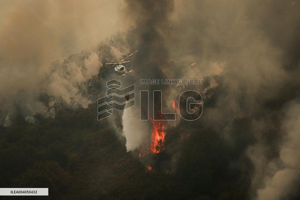 Wildfires Rage in Spain