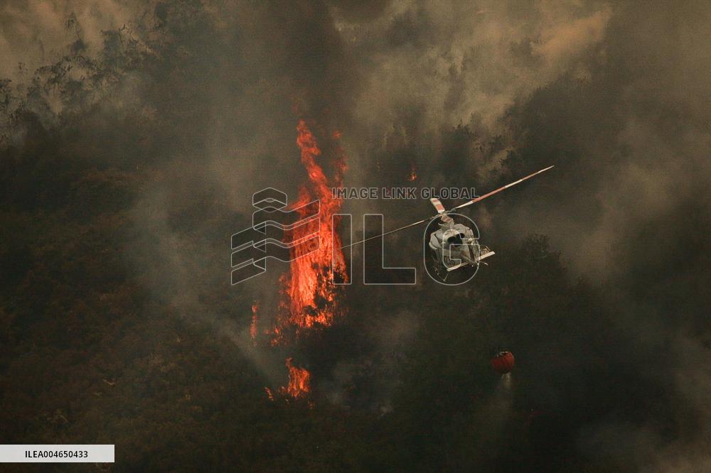 Wildfires Rage in Spain