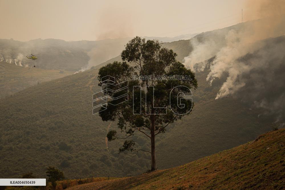 Wildfires Rage in Spain