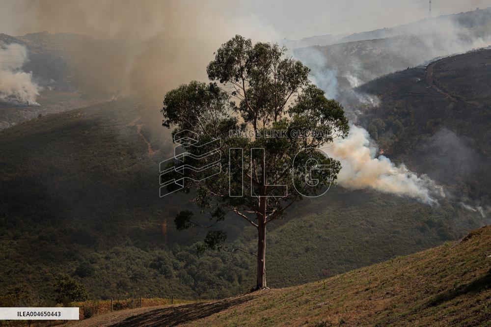 Wildfires Rage in Spain