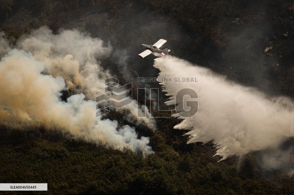 Wildfires Rage in Spain