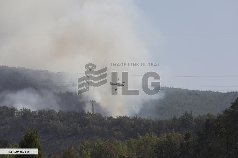 Wildfires Rage in Spain