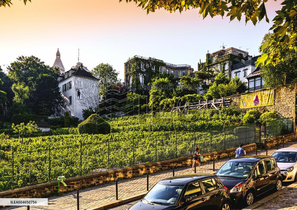 Illustration - Immobilier