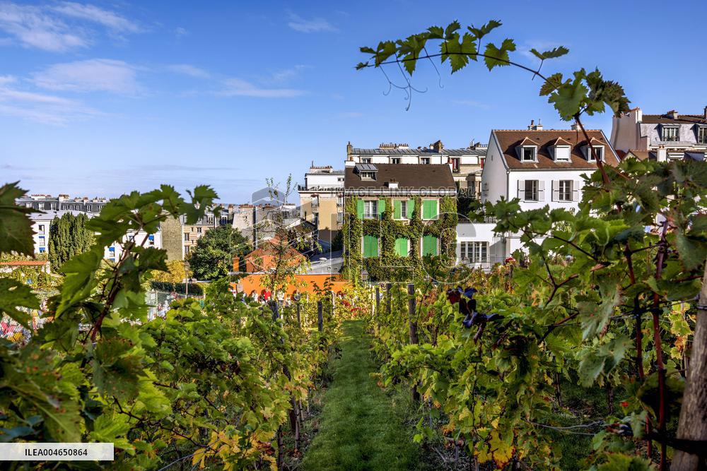 Illustration - Immobilier