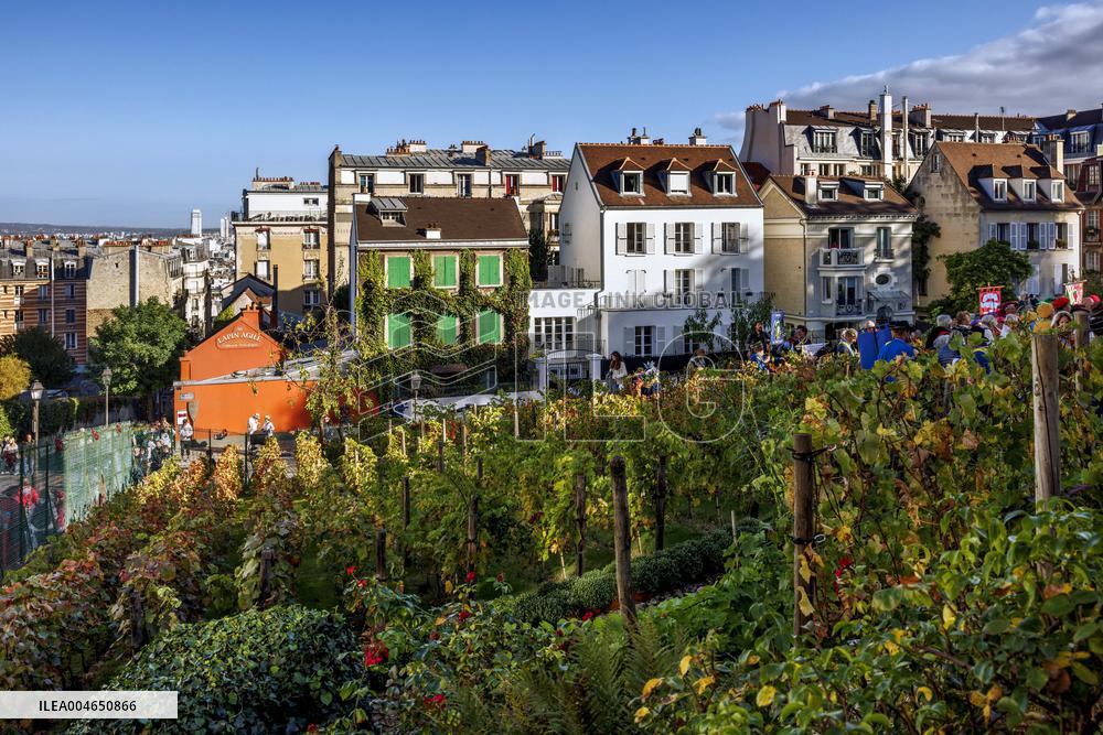 Illustration - Immobilier