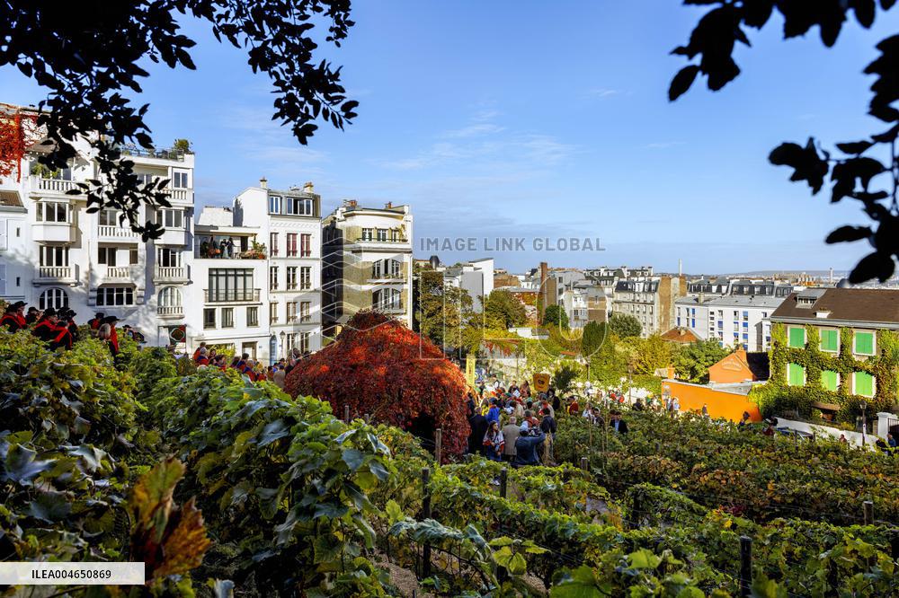 Illustration - Immobilier