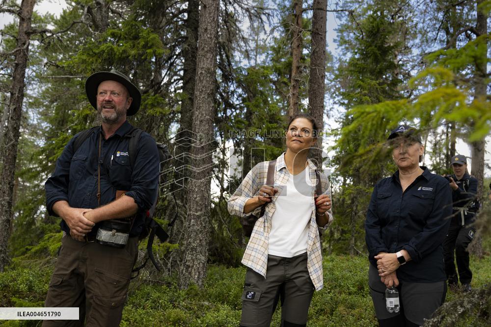 CROWN PRINCESS IN BJÖRNLANDETA NATURE RESERVE
