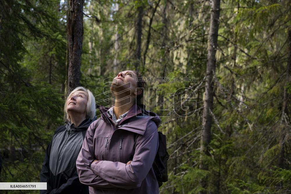CROWN PRINCESS IN BJÖRNLANDETA NATURE RESERVE