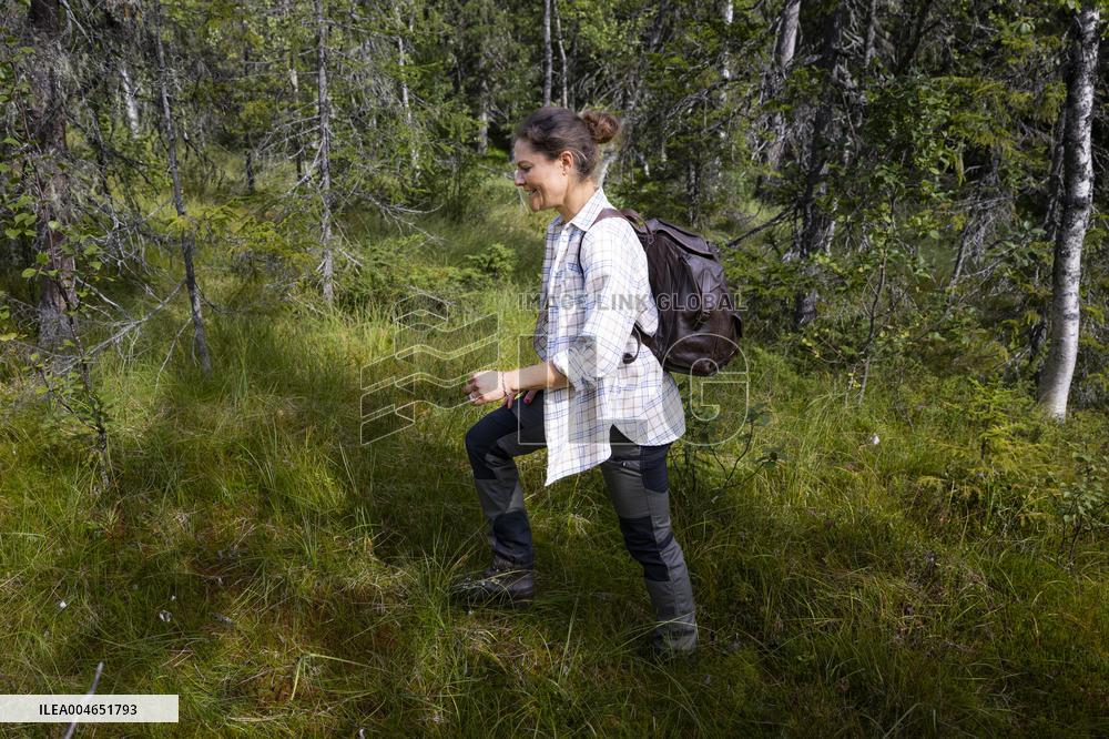 CROWN PRINCESS IN BJÖRNLANDETA NATURE RESERVE