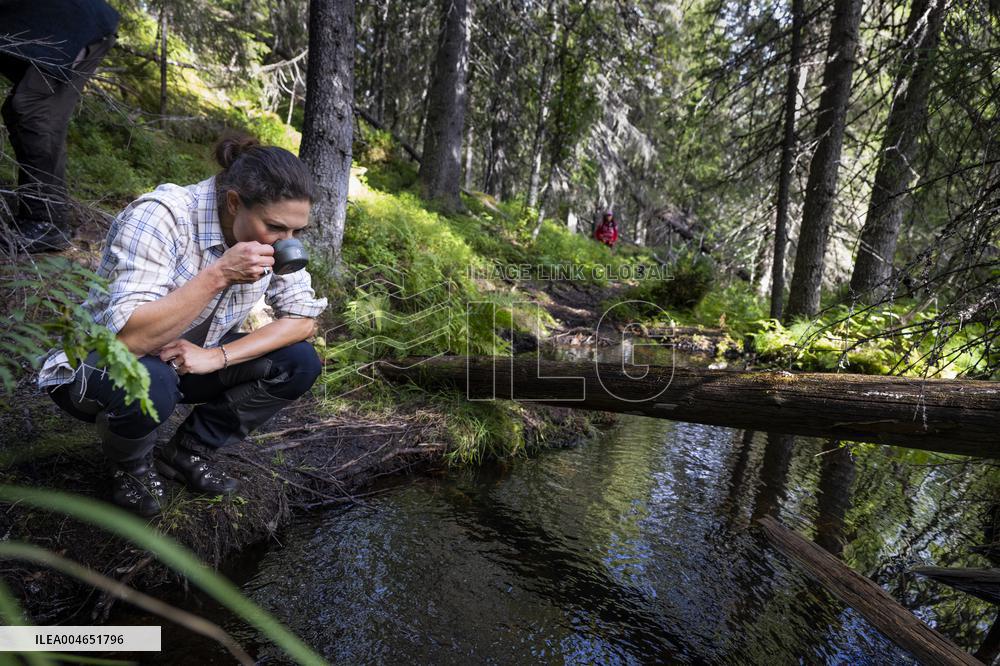 CROWN PRINCESS IN BJÖRNLANDETA NATURE RESERVE