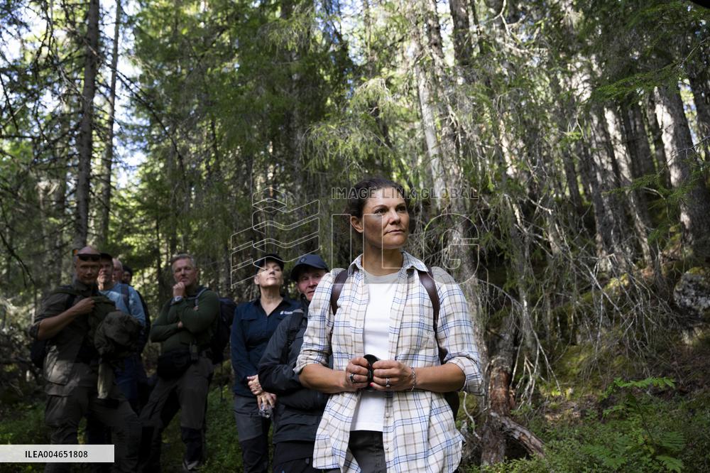 CROWN PRINCESS IN BJÖRNLANDETA NATURE RESERVE
