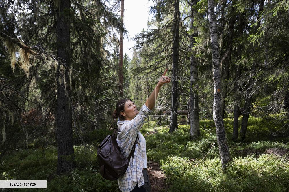 CROWN PRINCESS IN BJÖRNLANDETA NATURE RESERVE