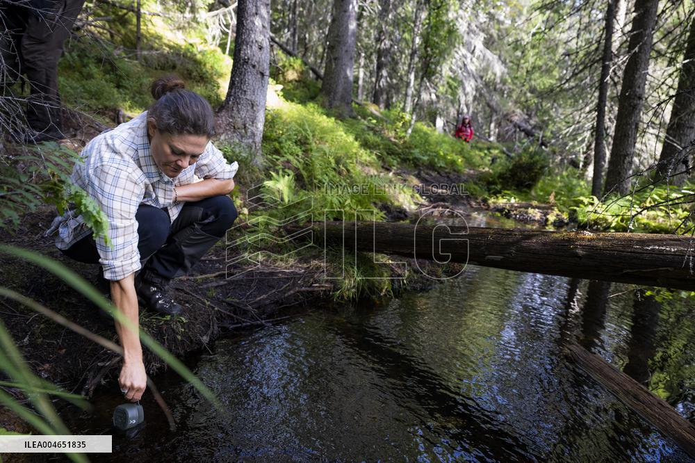 CROWN PRINCESS IN BJÖRNLANDETA NATURE RESERVE