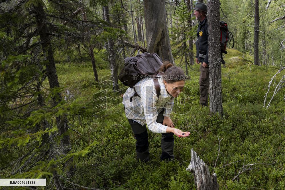 CROWN PRINCESS IN BJÖRNLANDETA NATURE RESERVE