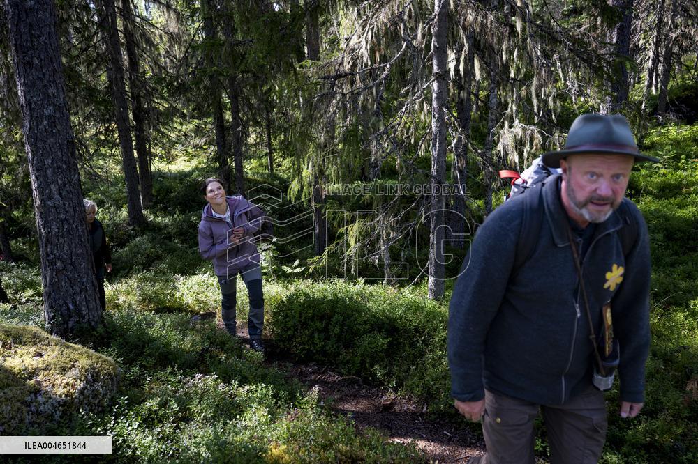 CROWN PRINCESS IN BJÖRNLANDETA NATURE RESERVE