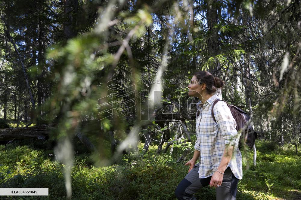 CROWN PRINCESS IN BJÖRNLANDETA NATURE RESERVE
