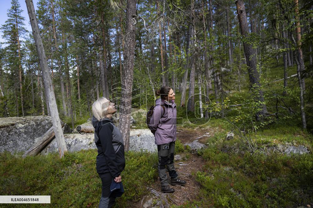 CROWN PRINCESS IN BJÖRNLANDETA NATURE RESERVE