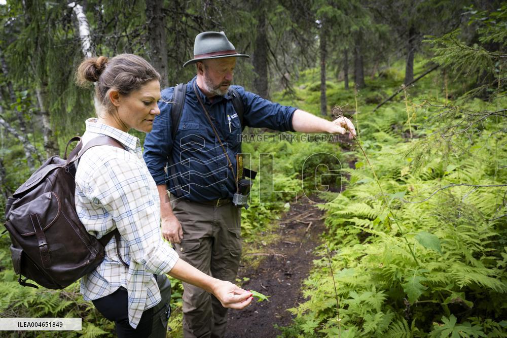 CROWN PRINCESS IN BJÖRNLANDETA NATURE RESERVE