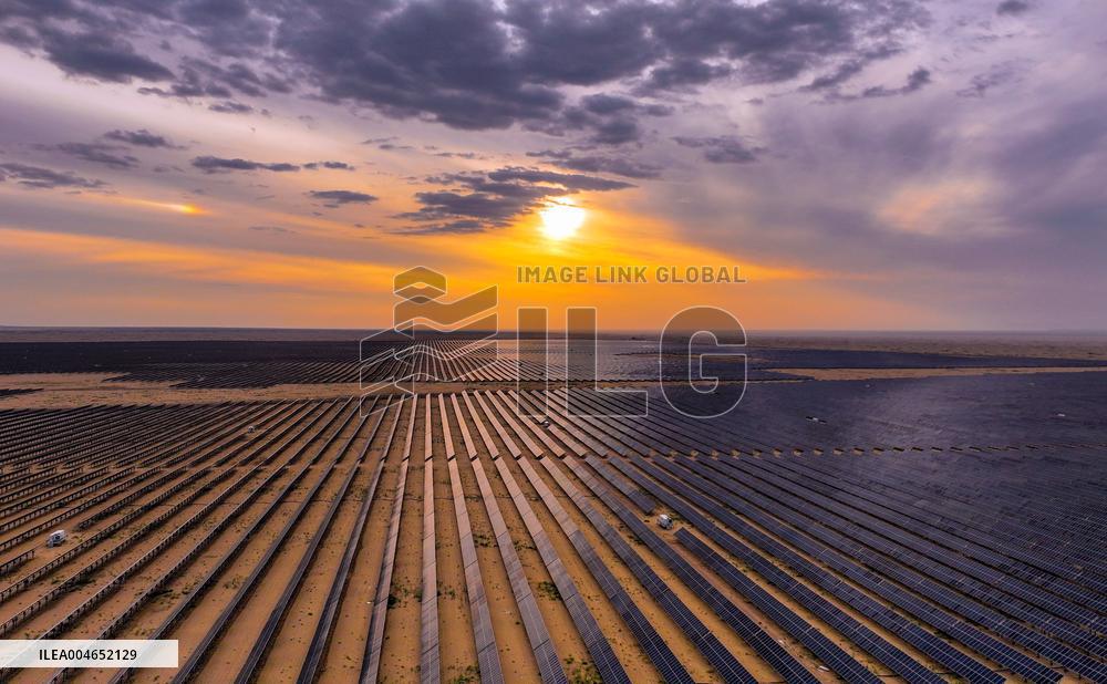 Kubuqi Desert Ecology