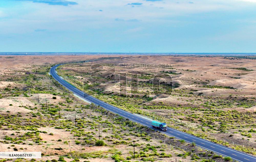 Kubuqi Desert Ecology