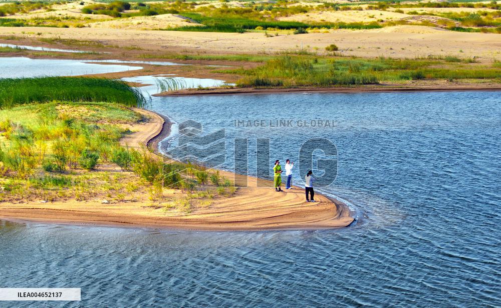 Kubuqi Desert Ecology