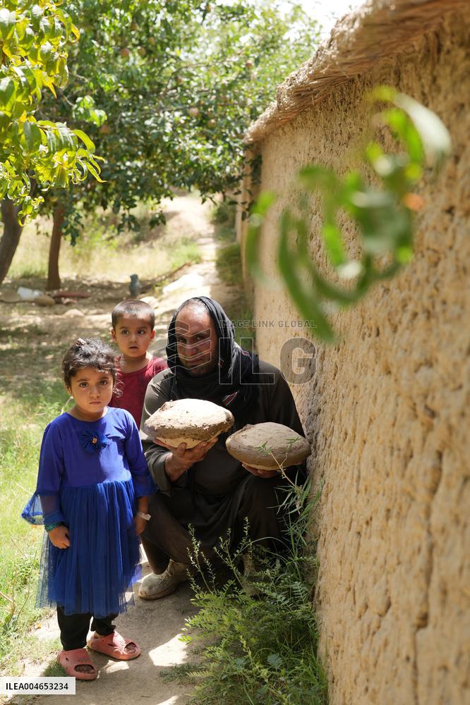 Kabul Kangana Grape Storage - Afghanistan
